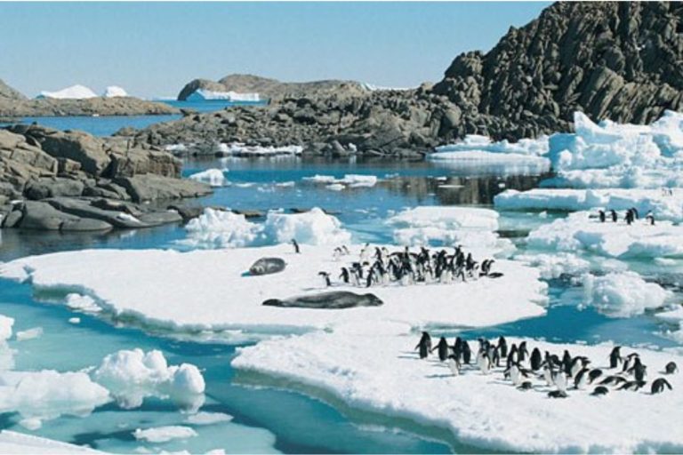 Antártida e sua Biodiversidade